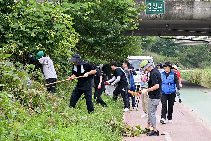 8월 2일 집중호우로 인한 부용천 일대 부유물 청소 및 환경 정비 활동 모습