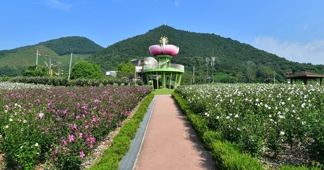 장성 무궁화공원