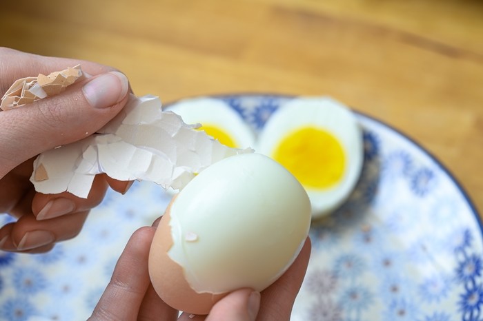 기사의 이해를 돕기 위한 사진 / ElenaKaretnikova-shutterstock.com
