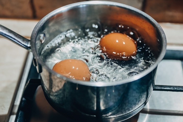 기사의 이해를 돕기 위한 사진 / PawelKacperek-shutterstock.com