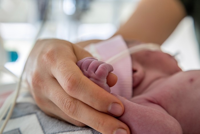 기사의 이해를 돕기 위한 사진 / ali.can0707-shutterstock.com