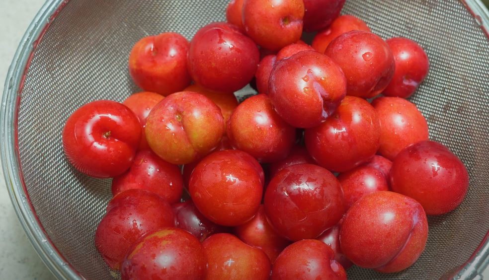 유튜브 '정연네집밥'