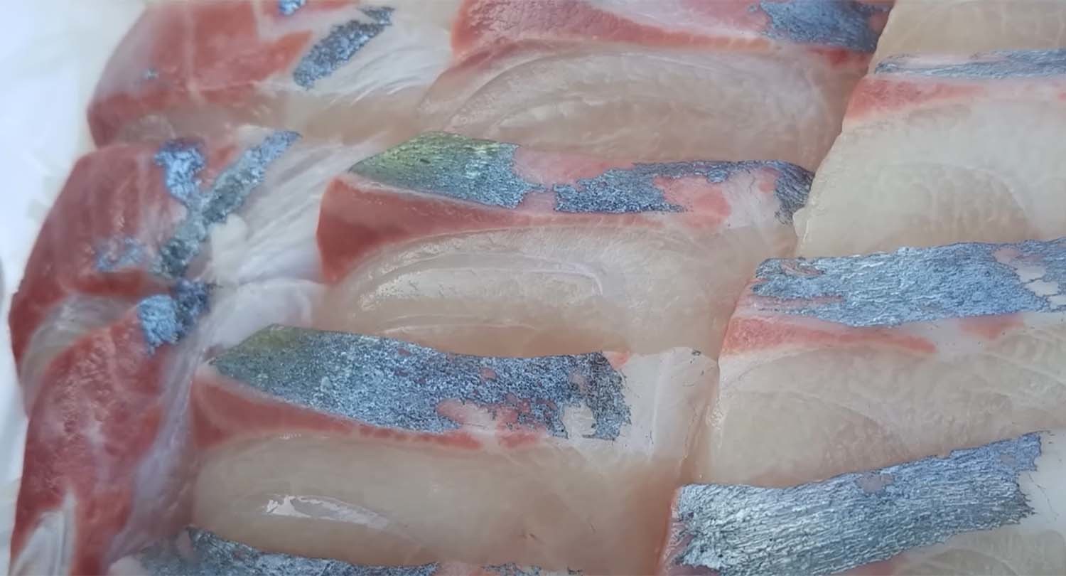 흑점줄전갱이 / '입질의추억TV'