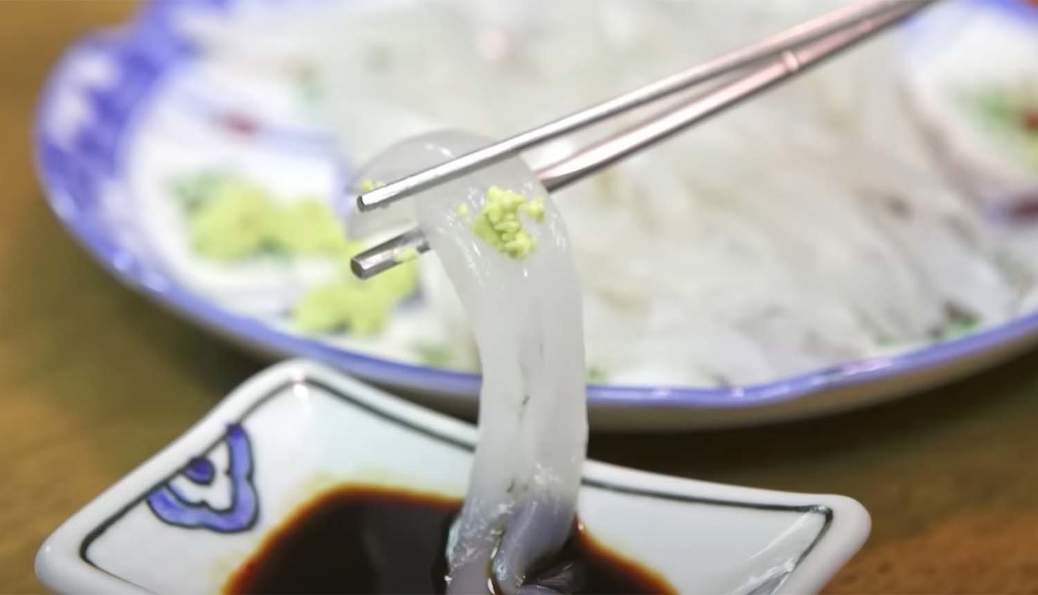 무늬오징어 회 / '입질의추억TV'