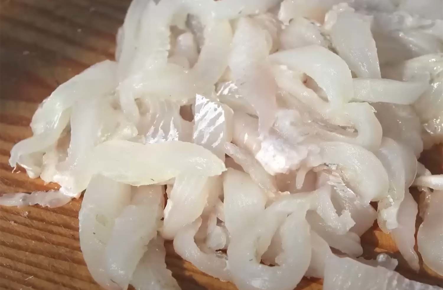 문치가자미 회 / '입질의추억TV'