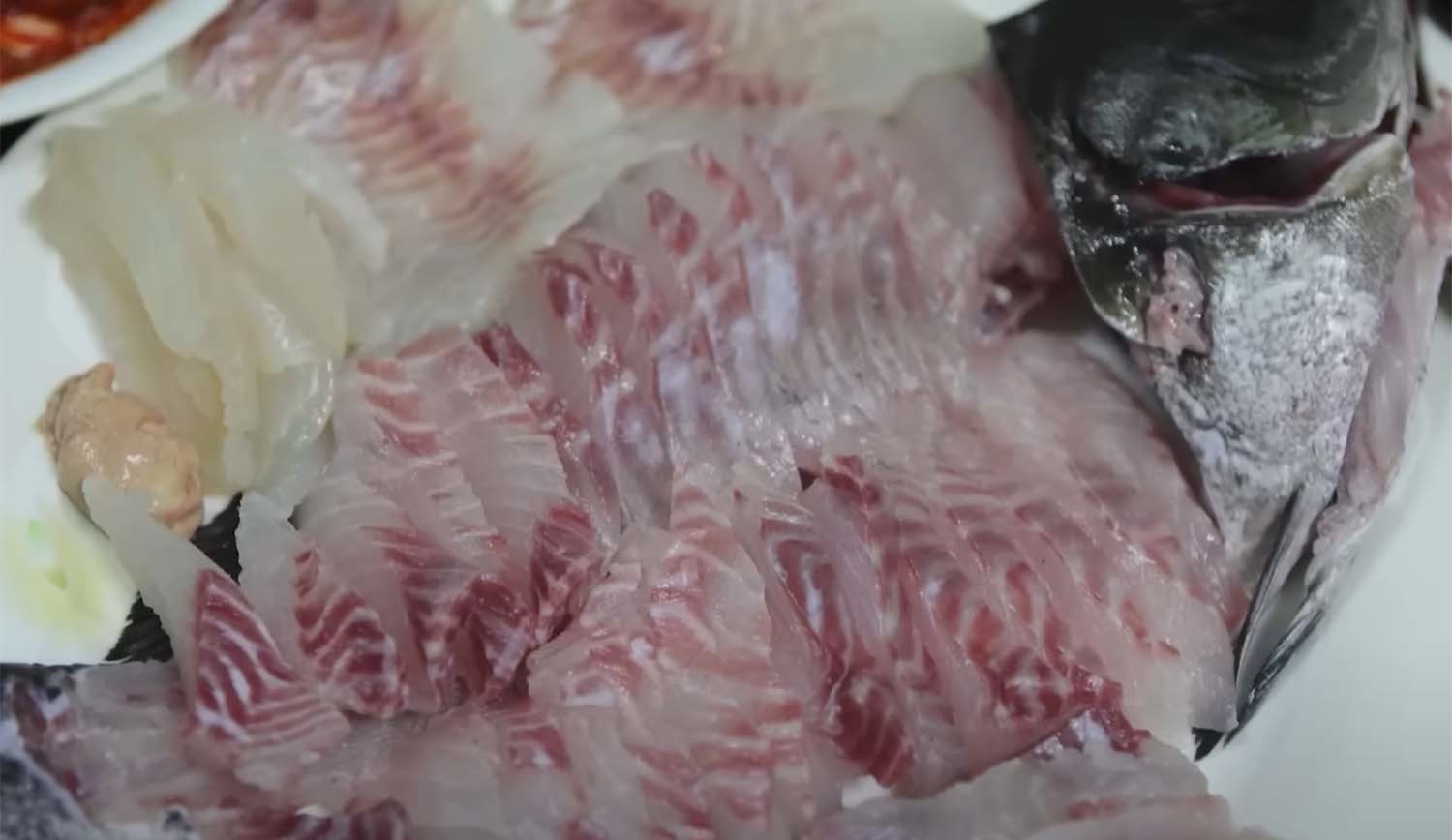 긴꼬리벵에돔 회 / '입질의추억TV'