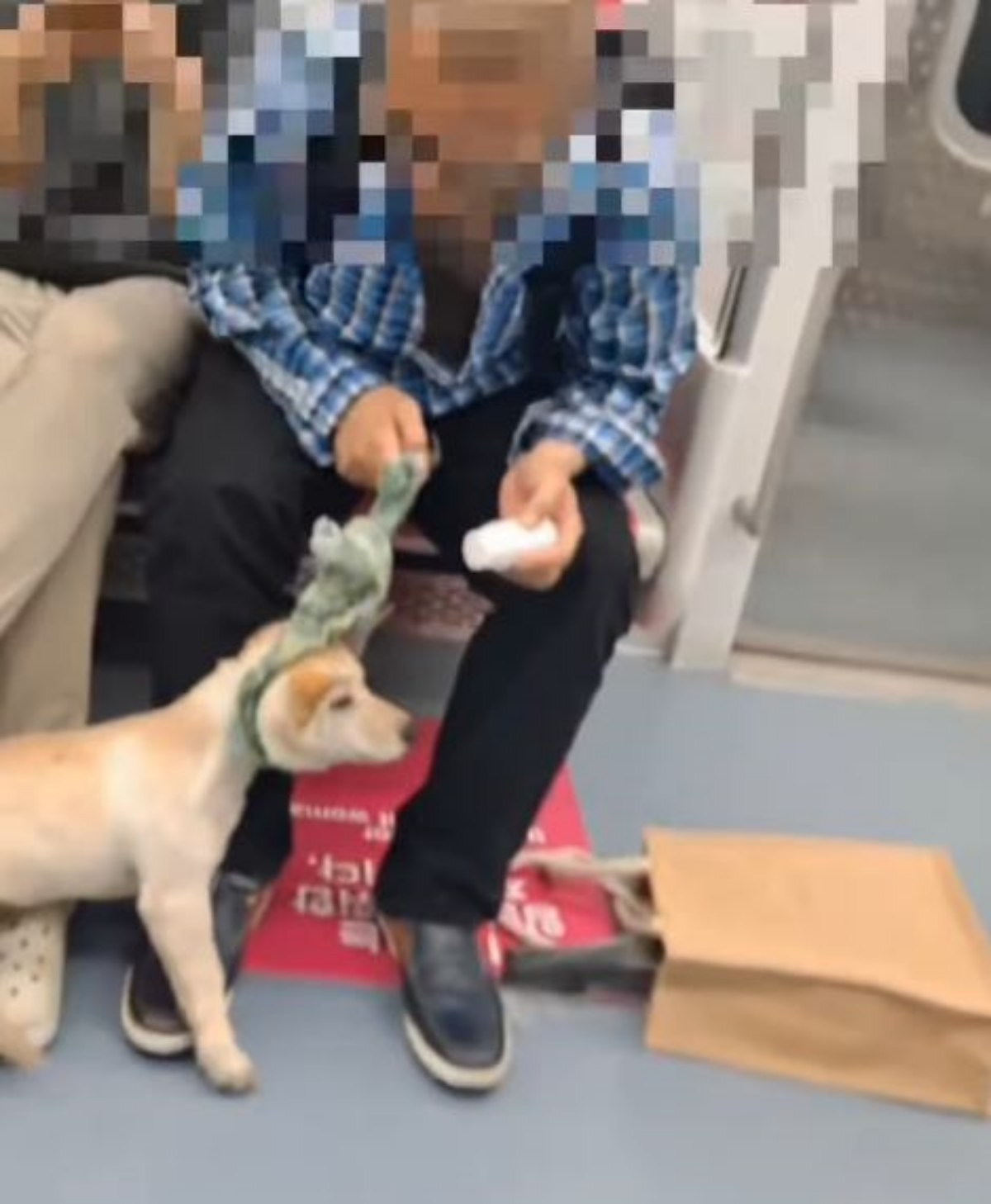 지난 1일 오후 5시 40분경 청량리행 지하철 안에서 한 남성이 개를 학대했다는 제보와 관련된 이미지. / 인스타그램 'care_korea_official'