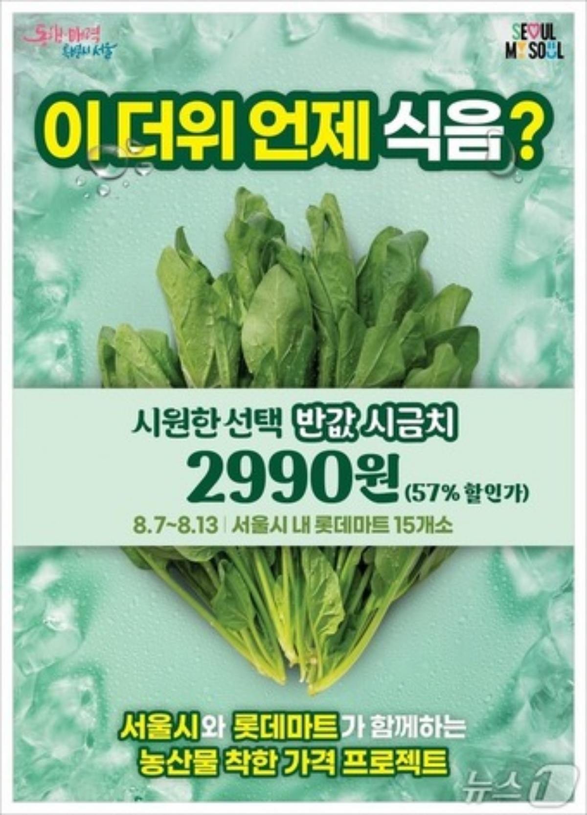 서울시는 서울시농수산식품공사, 롯데마트와 손잡고 시금치 7천 단(250g)을 정상가 대비 약 57% 할인된 가격에 공급한다고 밝혔다. / 뉴스1