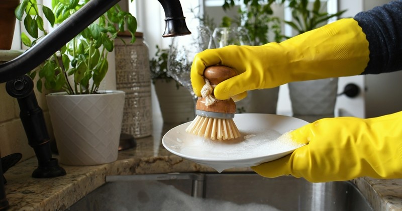 기사의 이해를 돕기 위한 사진 / MargJohnsonVA-shutterstock.com
