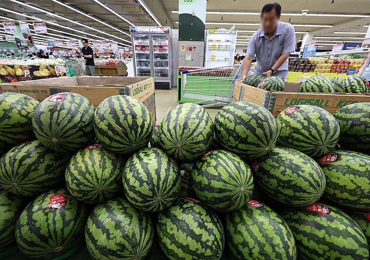 7월 소비자물가가 가공식품·수산물 상승세 영향으로 두 달째 2%대 상승세를 이어가고 있는 가운데 5일 서울의 한 대형마트를 찾은 시민이 수박을 고르고 있다 / 뉴스1