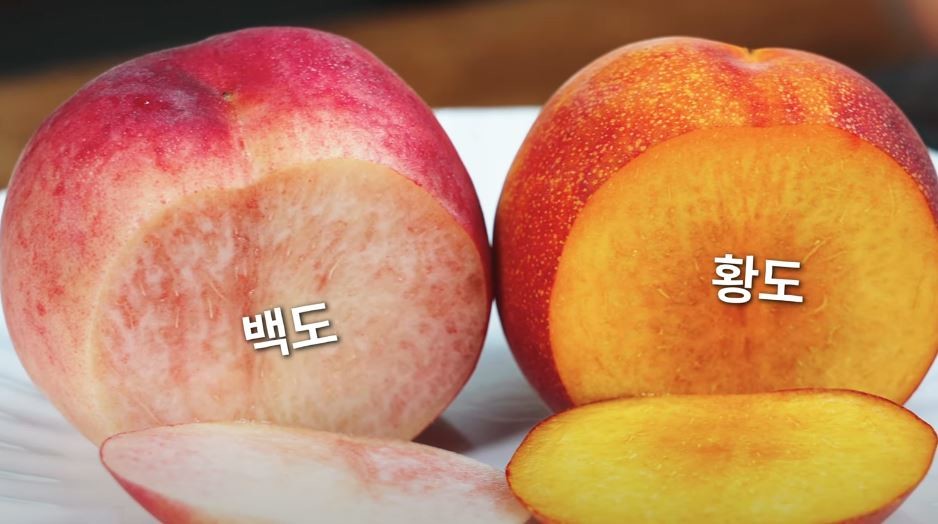 유튜브 '백년밥상TV'