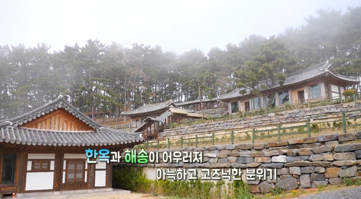 죽도 상화원. / 유튜브 '보령시ㅣBoryeongsi' 영상 캡쳐
