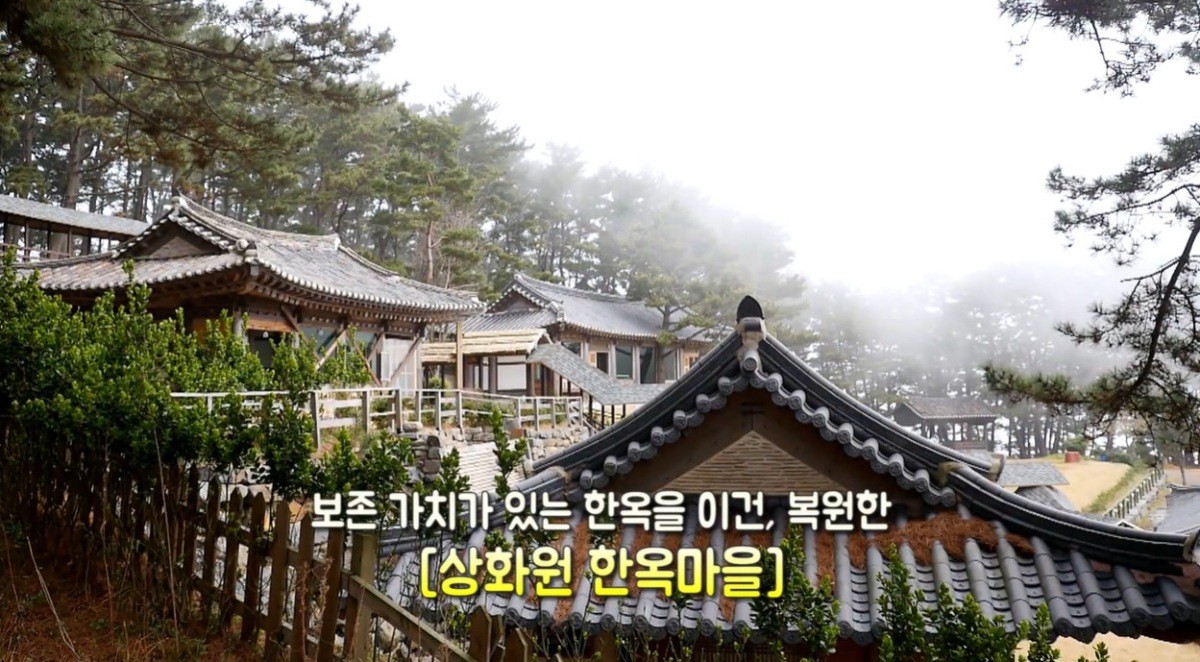 죽도 상화원. / 유튜브 '보령시ㅣBoryeongsi' 영상 캡쳐