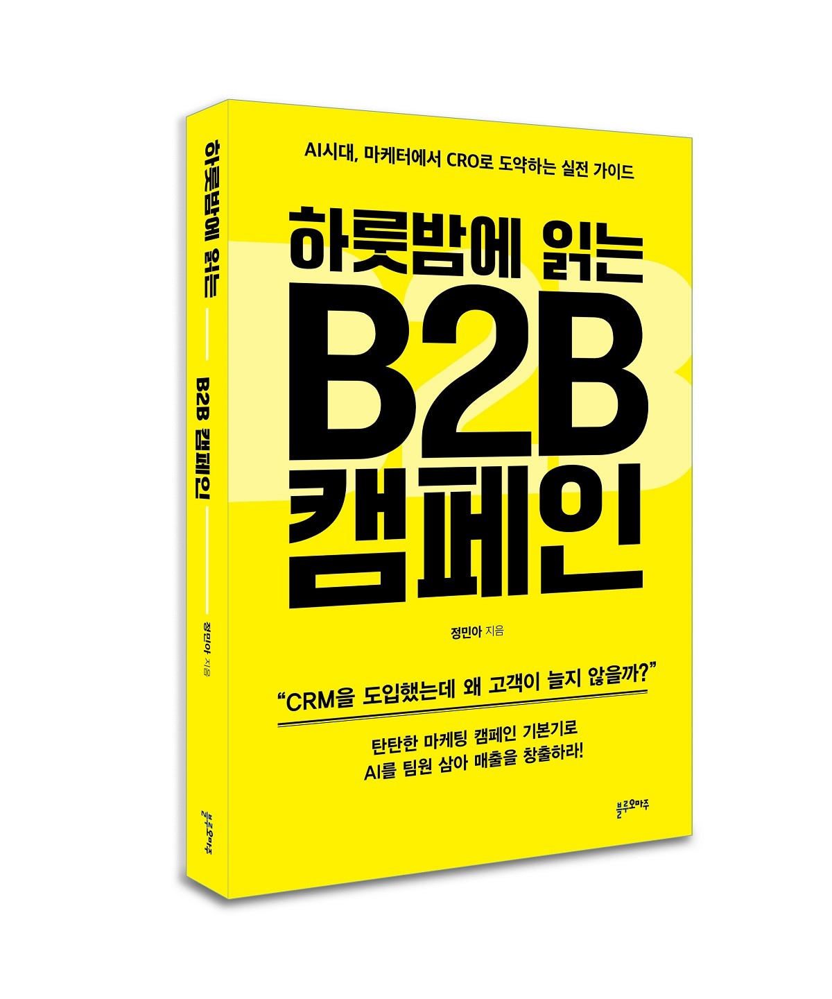[신간] 2권: 『하룻밤에 읽는 B2B 캠페인』 / 앨리슨하이퍼엠 제공