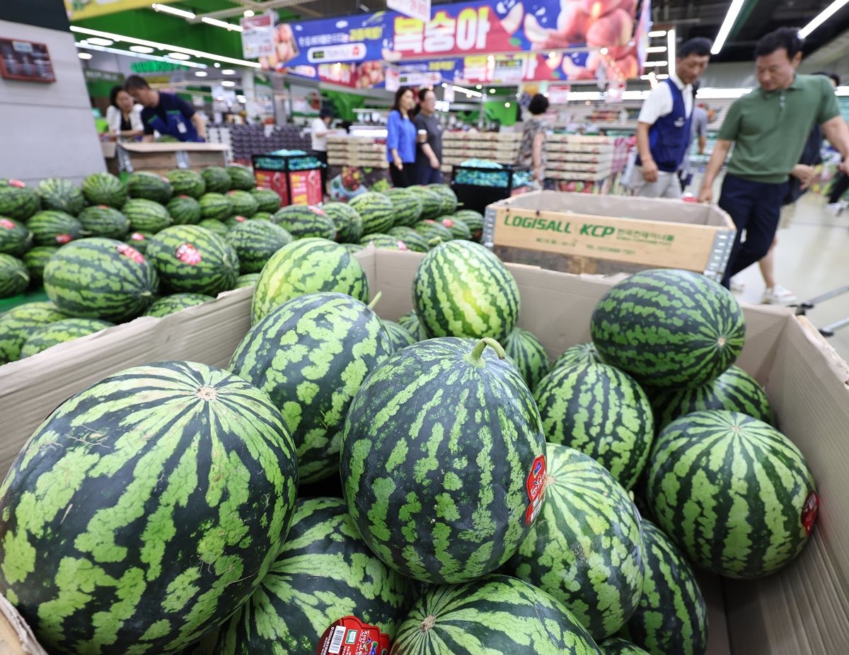 대형마트에 진열된 수박 자료 사진 / 뉴스1