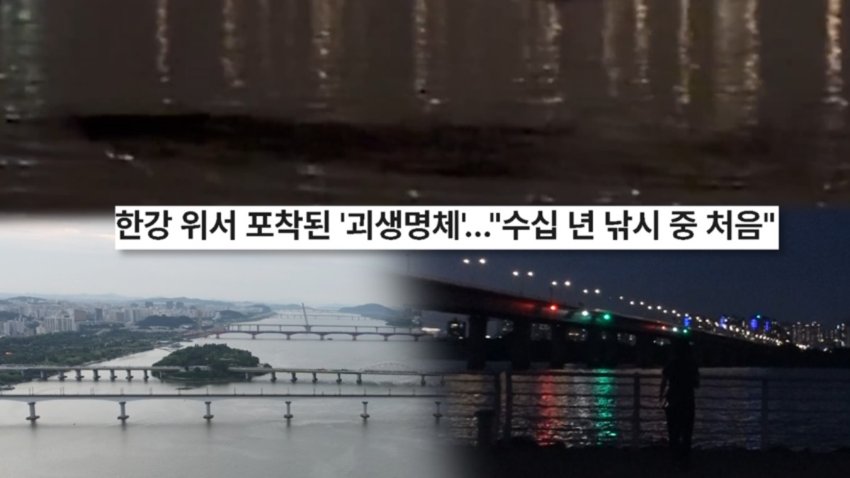 SBS ‘궁금한 이야기 Y’ 미리보기 페이지에서 제공하는 자료 사진. / SBS 제공