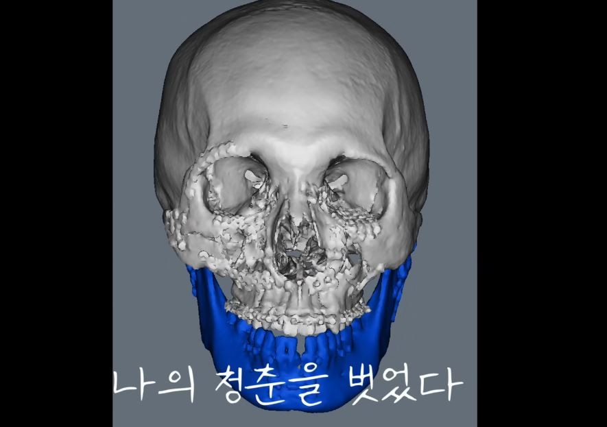 유튜브 'TAERANI'