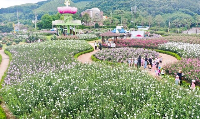 장성무궁화공원