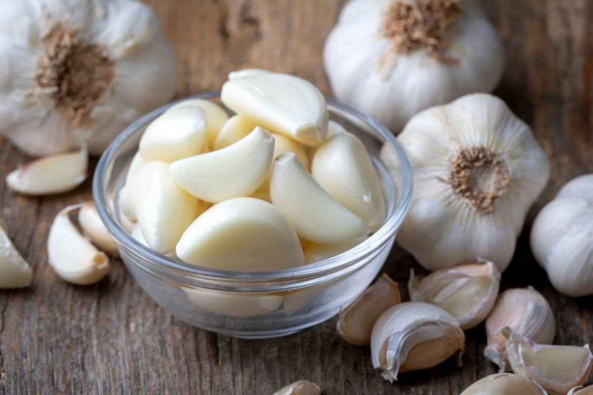 마늘 자료사진 / Esin Deniz-shutterstock.com