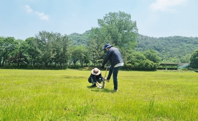 파크골프장 잔류농약