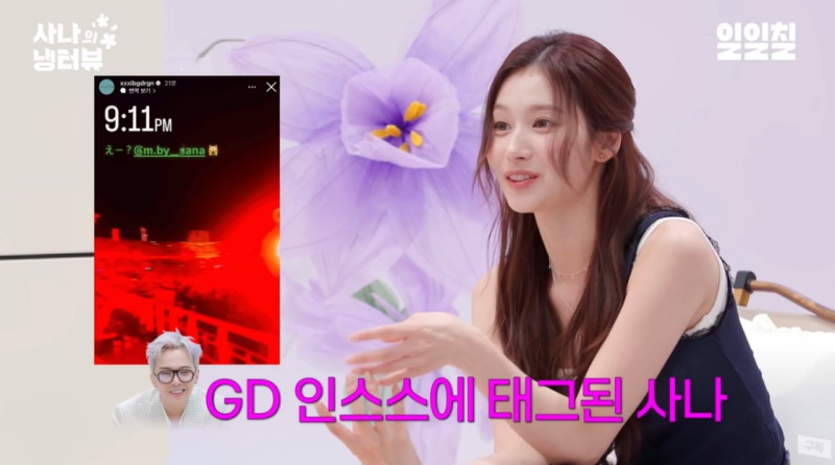 가수 사나 / 유튜브, 사나의 냉터뷰