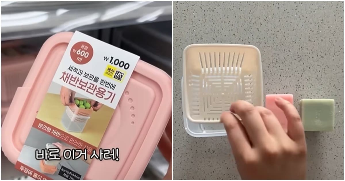 비누 케이스로 쓰기 좋은 '채반보관용기' / 유튜브 '티끌모아 제로, 해빗'