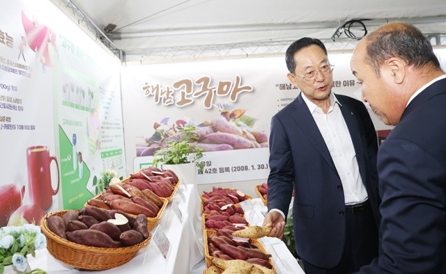 고구마 전시관 (해남미남축제)