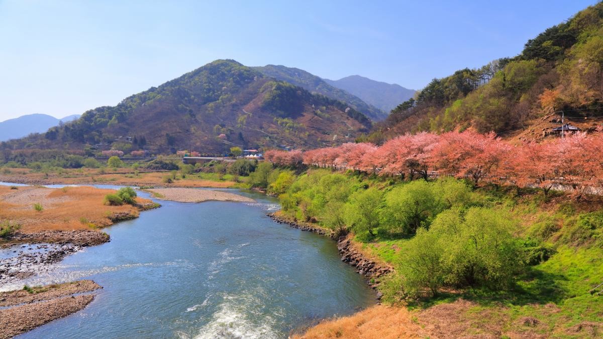 섬진강이 흐르고 있는 하동군 화개면. / Tupungato-shutterstock.com