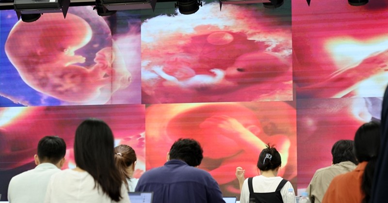 대한의사협회가 범죄와의 전쟁을 선포한 19일 오후 서울 용산구 대한의사협회 대강당에서 열린 현안 관련 의사협회 자료가 나오고 있다. 이날 의협은 최근 36주 인공임신중절 사건이 공론화되자 극소수의 의사로 인해 국민의 생명과 건강을 최우선으로 생각하는 대다수의 의사들이 피해받는 현실을 두고볼 수 없다고 밝혔다. 의협 관계자는 이날 '큰 아기 낙태 근절 의협이 한다'며 불법을 자행하는 의사들을 대상으로 범죄와의 전쟁을 하겠다고 밝혔다. 2024.8.19 / 뉴스1