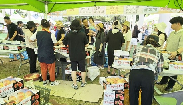 지난 2일 월등면 행정복지센터 잔디광장에서 열린 ‘순천명품 제20회 월등 복숭아 체험행사’.