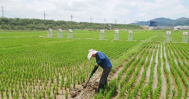 저탄소 농가