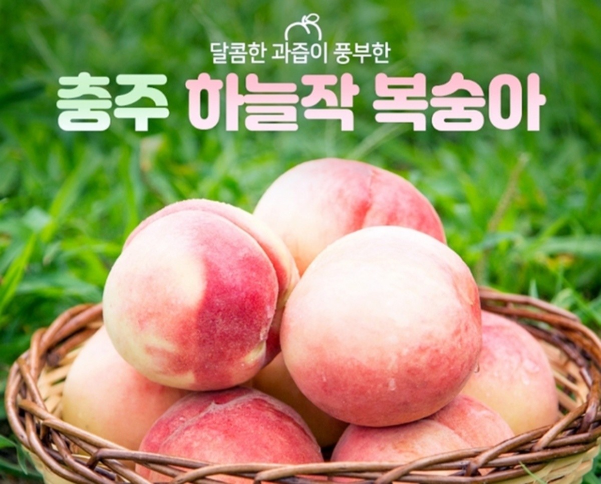 충주 하늘작 복숭아 / 충주시 제공