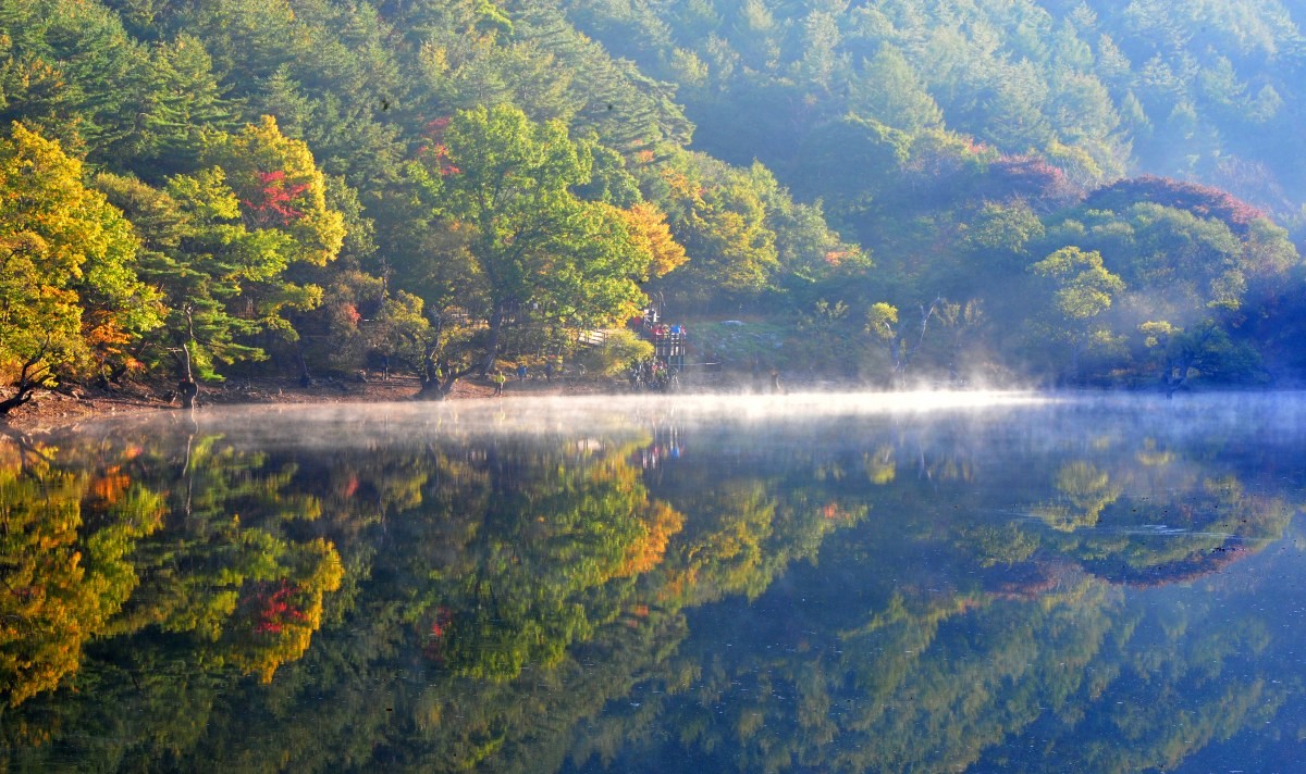 국립공원 주산지. / 뉴스1