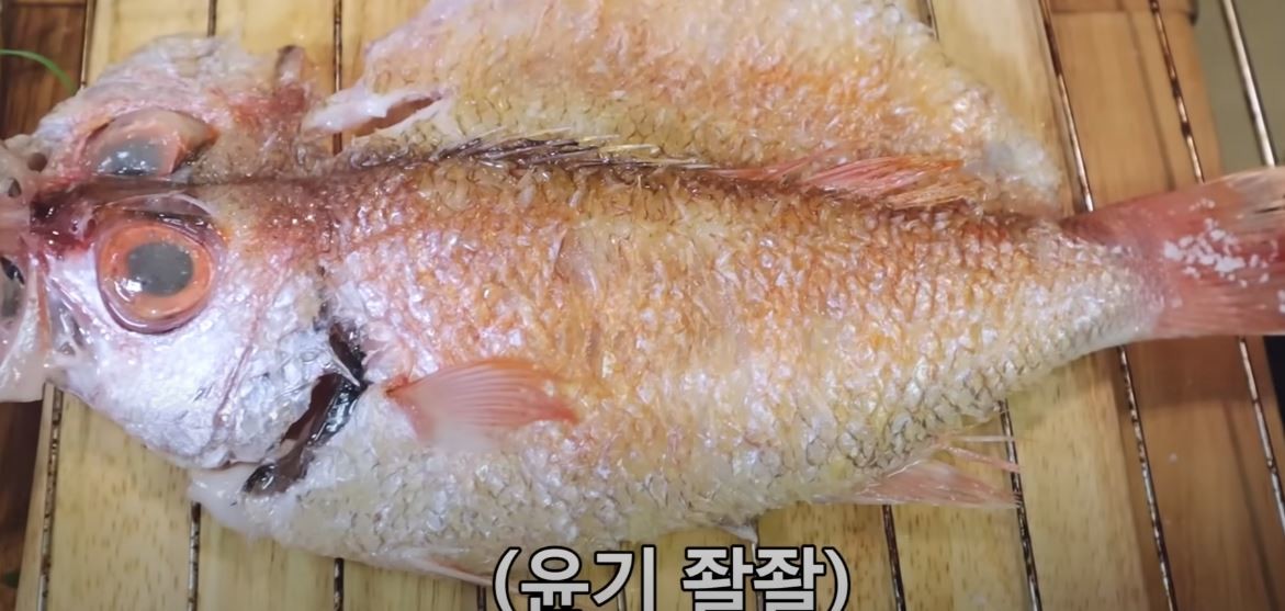 유튜브 '입질의추억TV jiminTV'