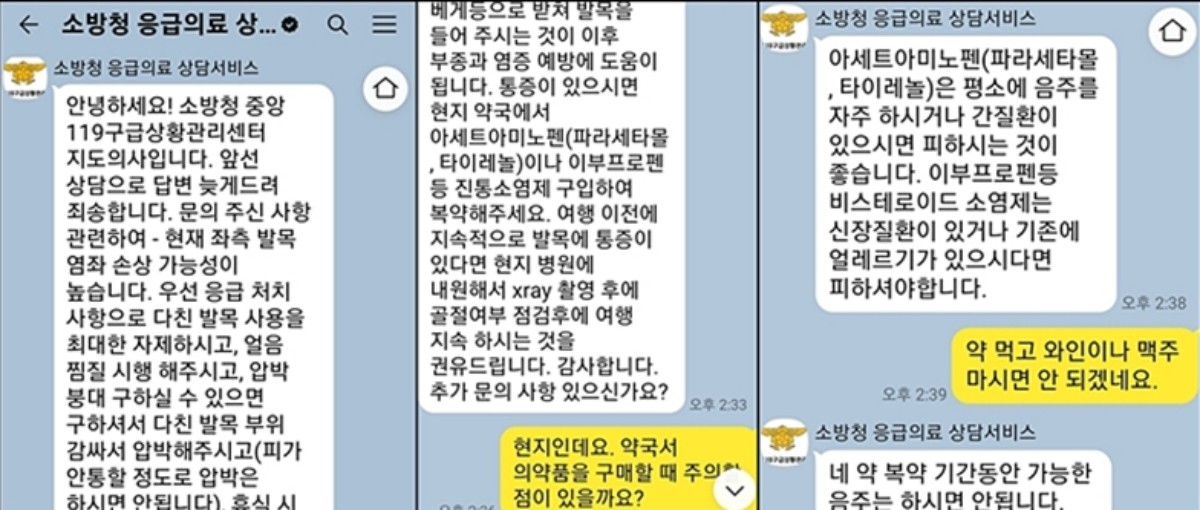 재외국민119응급의료상담서비스 화면 / 대한민국 119_소방청 공식 블로그 캡처