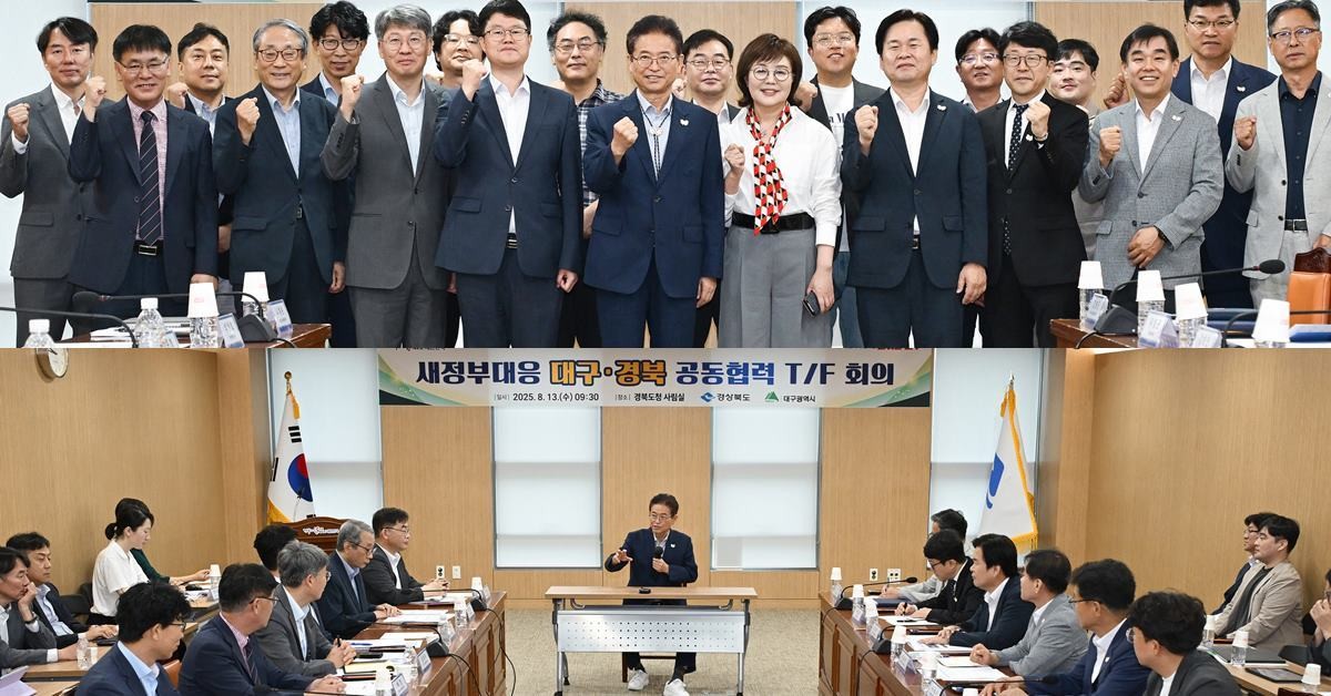 '새정부 대응 대구경북 공동협력 TF회의' 모습/경북도