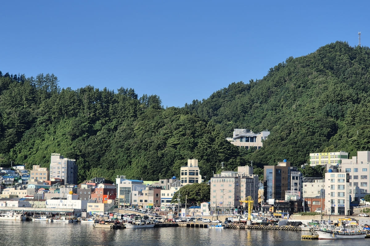 울릉 저동항 전경 / 연합뉴스