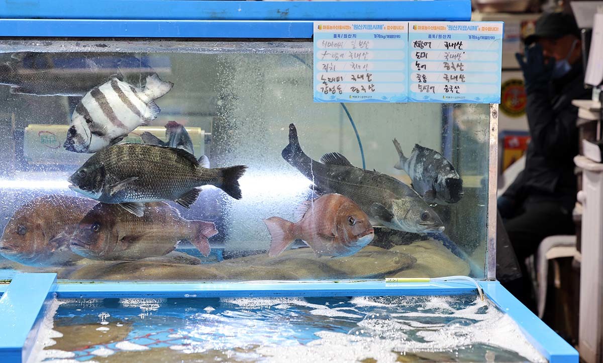수산시장 자료사진 / 뉴스1
