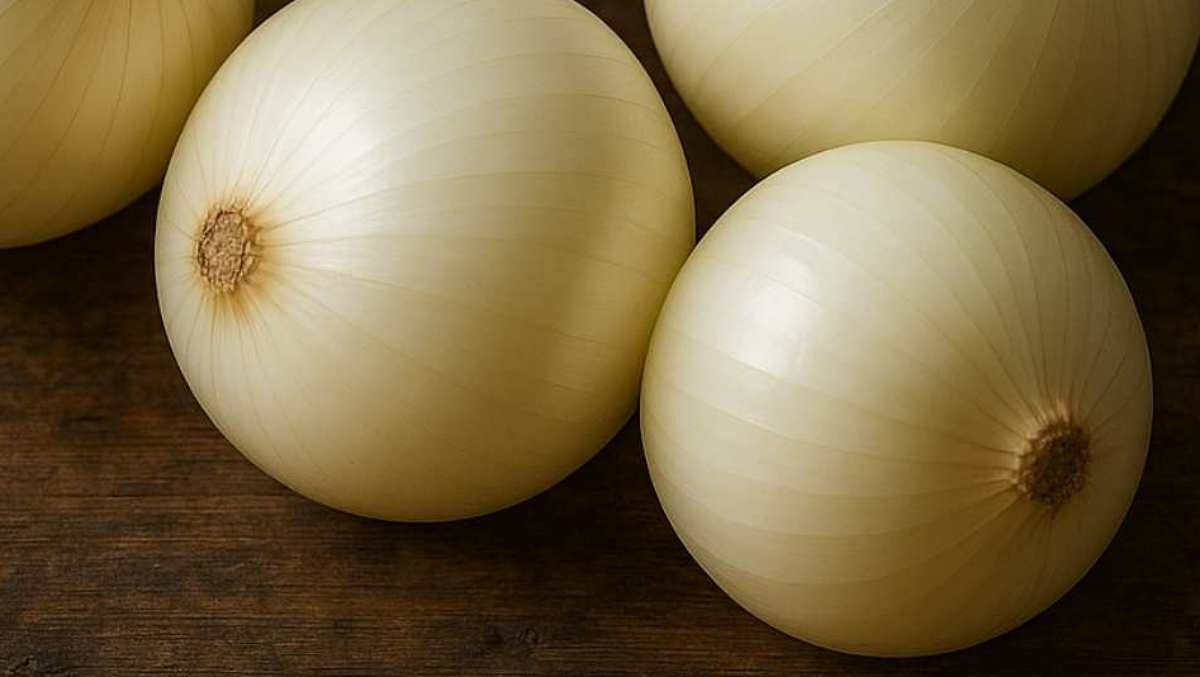 깐 양파. 기사 내용을 바탕으로 AI가 생성한 자료사진.