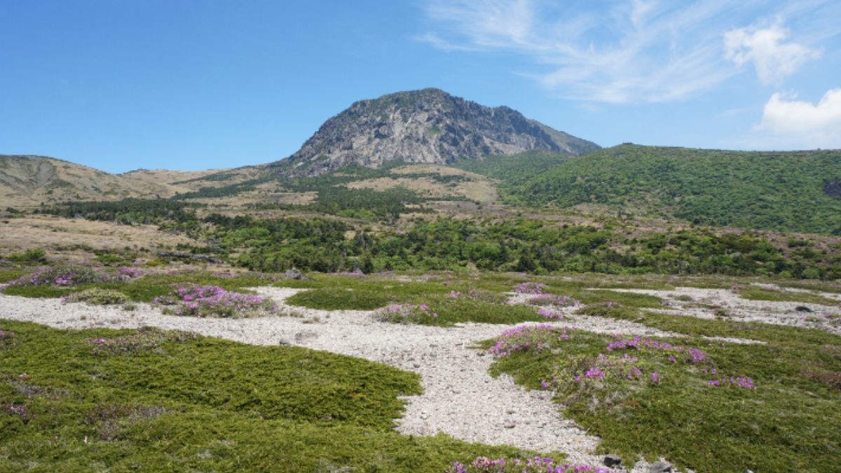 한라산의 모세왓 / 제주도