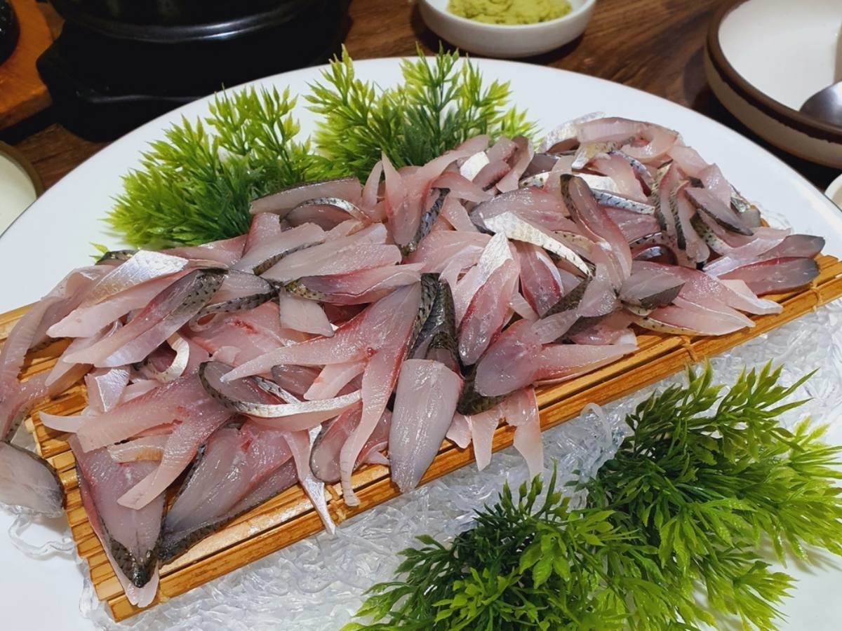 전어 회 자료사진 / dandan0620-shutterstock.com