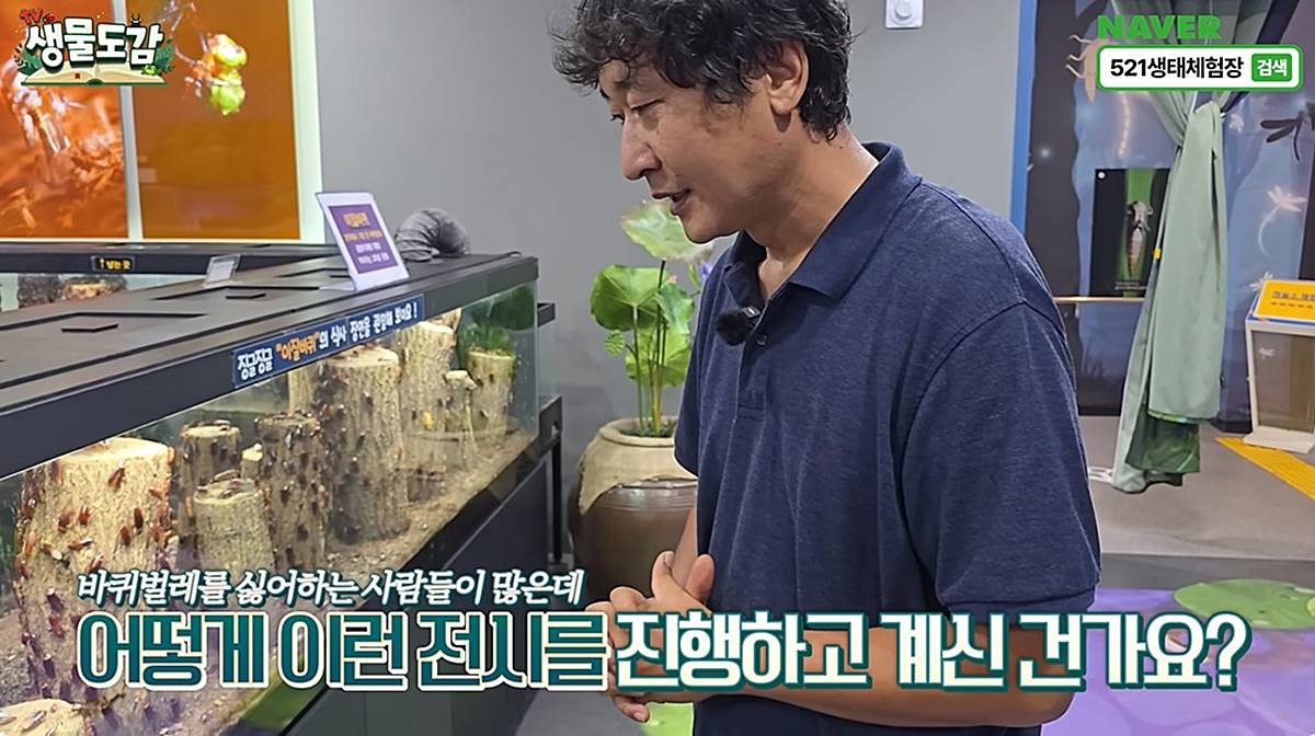 바퀴벌레 전시장 / 유튜브 'TV생물도감'