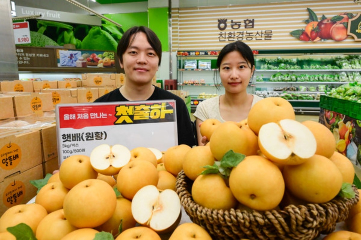 하나로마트에서 직원들이 원황 품종 햇배를 홍보하고 있다. / 농협유통 제공