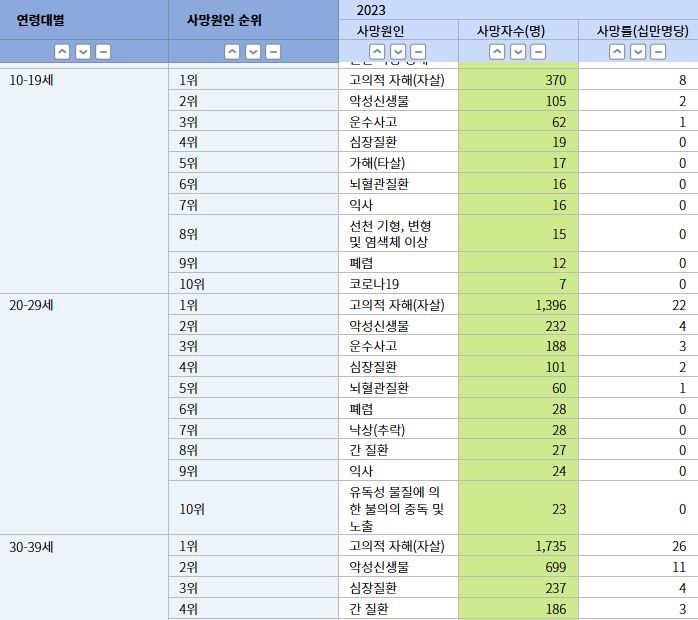 연령대별 사망원인 순위 / 국가통계포털(KOSIS) 홈페이지