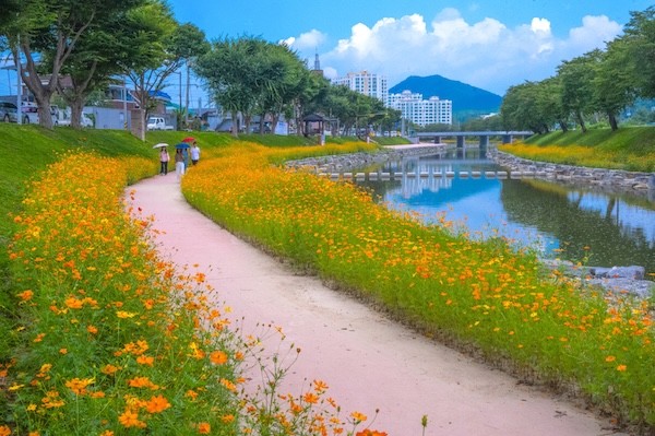 순창군