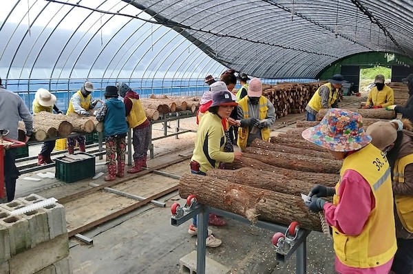 순창군