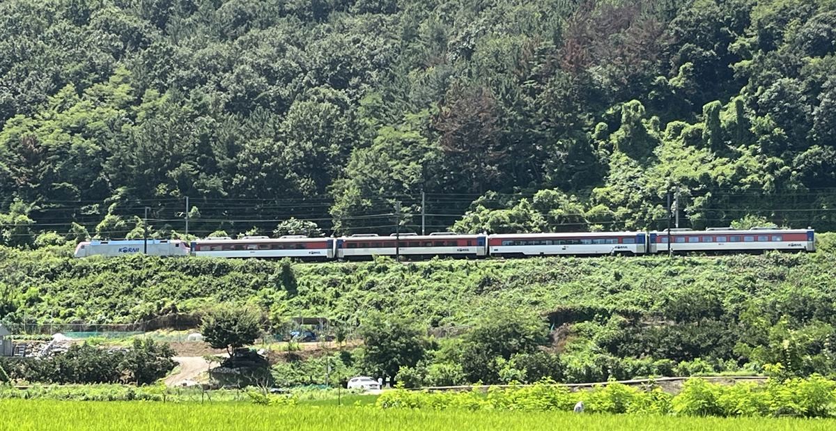 19일 경북 청도군 청도소싸움 경기장 인근 경부선 철로에서 마산으로 향하던 무궁화 열차가 선로에서 작업하던 근로자 7명을 치는 사고가 발생해 열차가 멈취있는 모습 / 뉴스1
