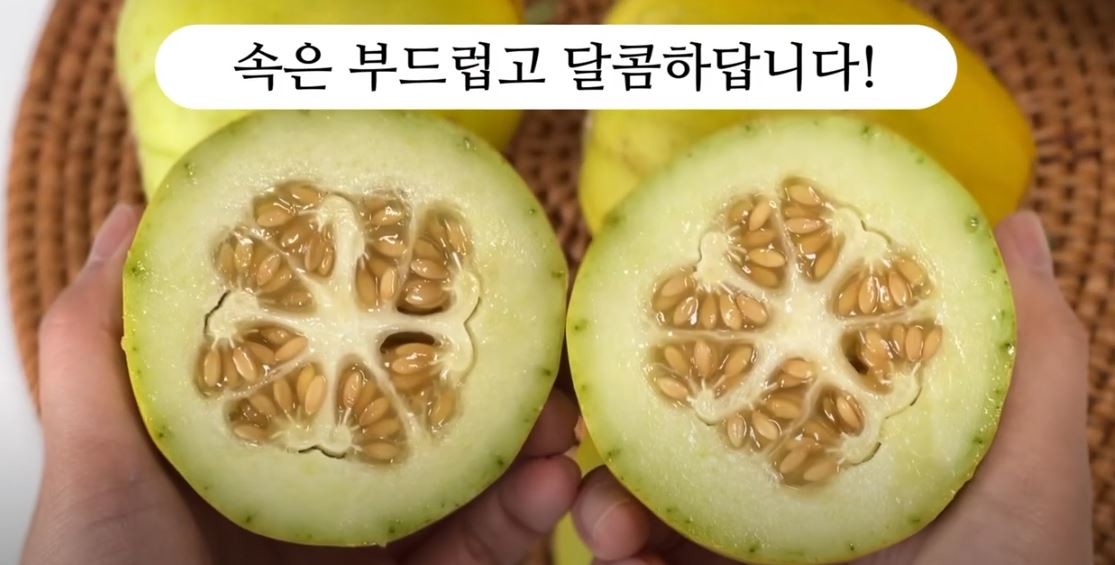 유튜브 '다해농수산'