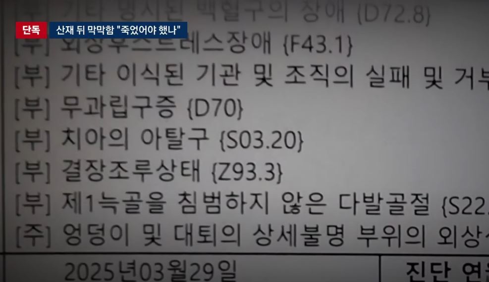 유튜브 'JTBC News'