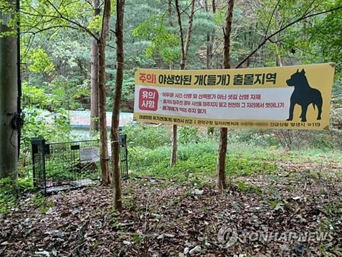 들개 포획틀 / 연합뉴스 자료사진